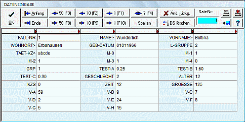 Dateneingabe in PCS